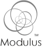 Modulus Financial Enginering